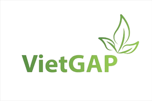 Logo Vietgap Png