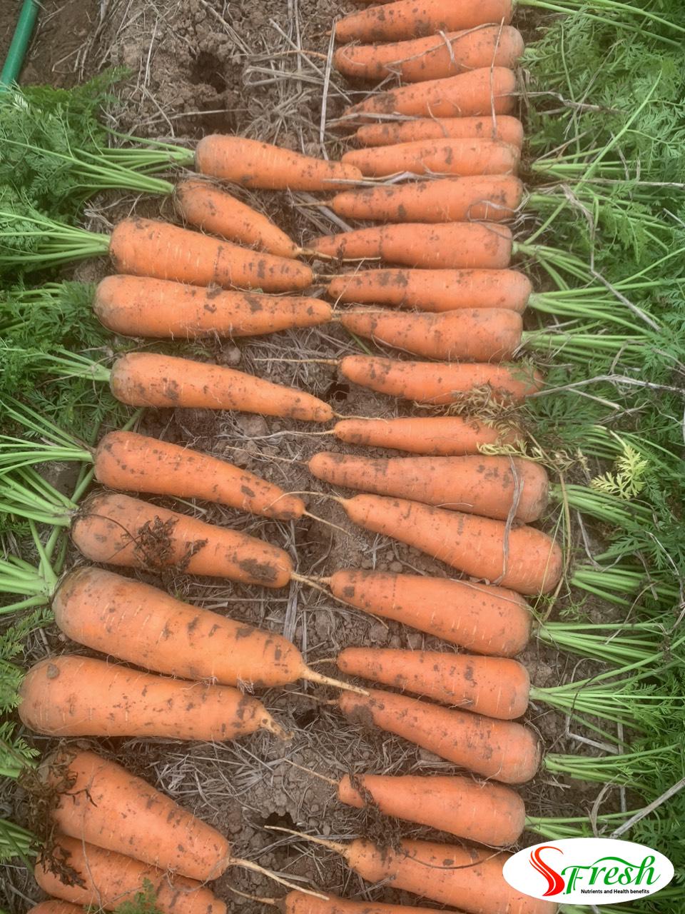 Z4862647372008 Cf153da1062a089a94d032adf0f80feb