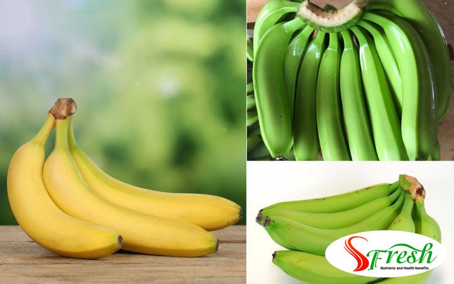 Canvadish Banana