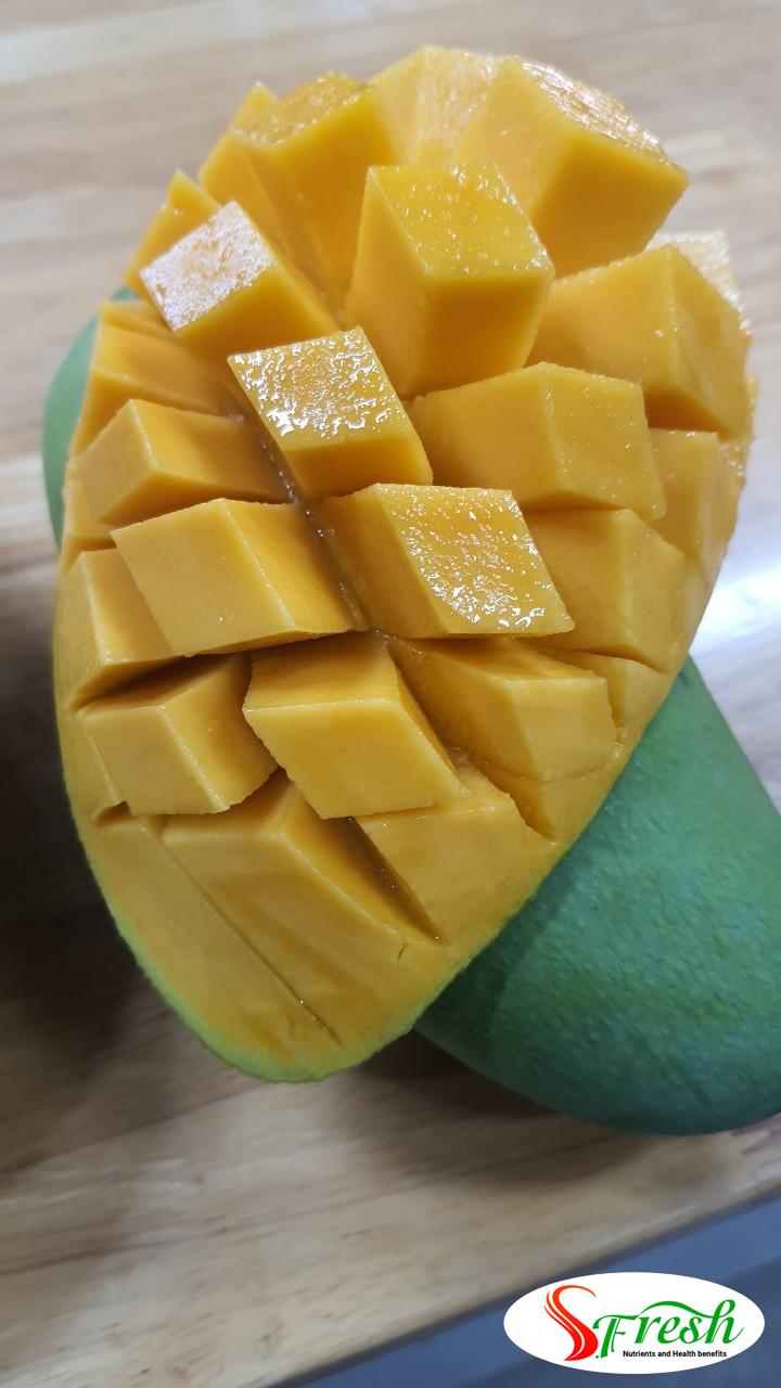 Z5105388337751 852c916137f7fc3c3a2f04f3fd5804dc