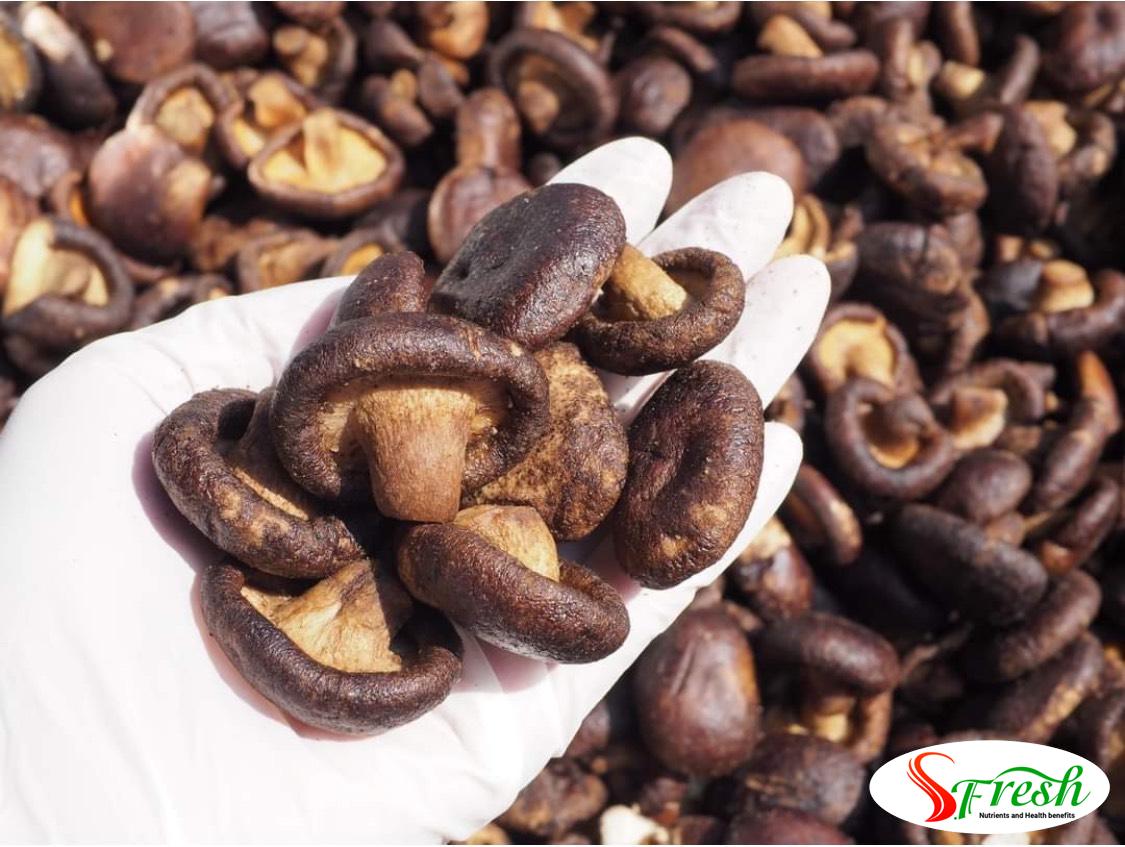 Z5542309848138 763e7d3cdb544313c0640fbf272d8e0d